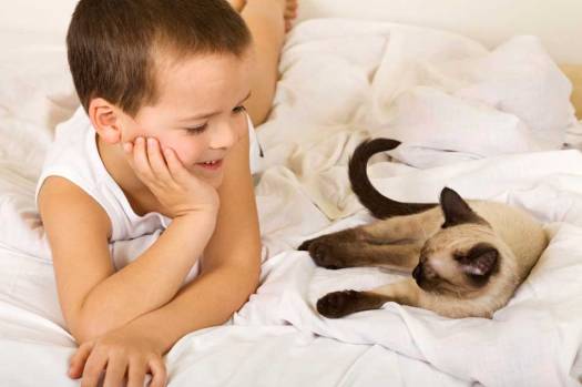 los-12-consejos-para-llevarse-bien-con-un-gato (1).jpg